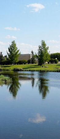 A E Wilson Park